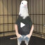 FreakyGaming98