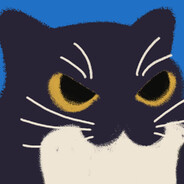 次元黑猫o(=•ェ•=)o