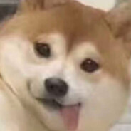 宝鸡最強沄說X絕兕D猛虎