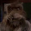 ! Mestre Splinter