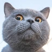 ni看啥呢还不快chong