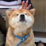 简单男孩快乐白给❤