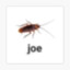 Joe the cockroach