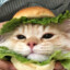 DDawger