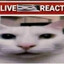 zero k andy