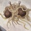 Spaghetti Skank (uncircumcised)