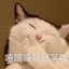 种草火星