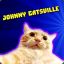 Johny Catsville