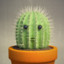 Cactus  (GR)