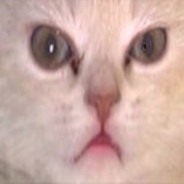 Говнюк - steam id 76561198961267159