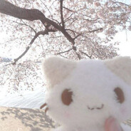 [天照大御] тянка