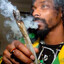 (Alfa-PVP) Snoop Dogg