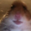 bitmar1231
