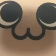 戟巴猫开车带我嘟嘟嘟~