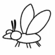 housefly