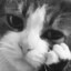 iyda's avatar
