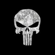 FrankCastle - steam id 76561199111793083