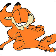 dn gato