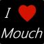 Mouche ``