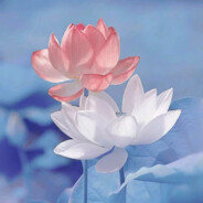 peiki你要毁了这个厨房吗