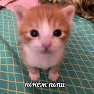 ghr3ym0de