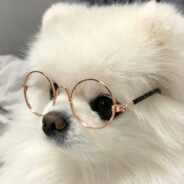 晒足一百八十天