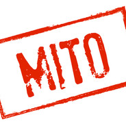 G.MUNIZ - THE MITO