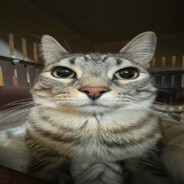 customer service specialist