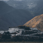 谨防队友大残诈骗