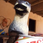 L3xSt3R - steam id 76561197961208333