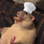iViceVersa
