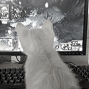 m4kkkio avatar