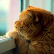 我就看看不说话行不行啊