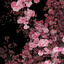 Yatō