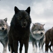 😍Ąłłęx😍 WILDCASE.COM