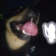 󠁳󠁳 ⁧ 󠁳 𓆰Daiki𓆪