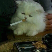 twitch.tv/brodyag1n_ - steam id 76561199024348889