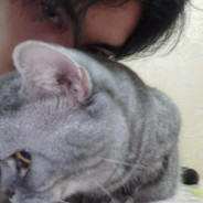 她是我所有的温柔.