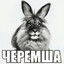 ВЛАЖНЫЙ ГОША