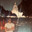 DavoOwO avatar