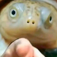 副部级光敏电阻