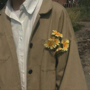 瞎猫遇上铲屎官