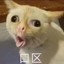 Lvvvvvcy