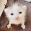!!! LOOK AT PFP !!!