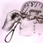 lobotomy gaming