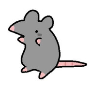 lipa
