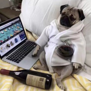 一一一一一一一一一一一一一一一一一一一一一