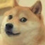 孤独的狼