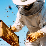BeeKeeper