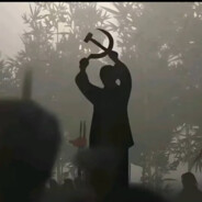 翻斗花园小霸王